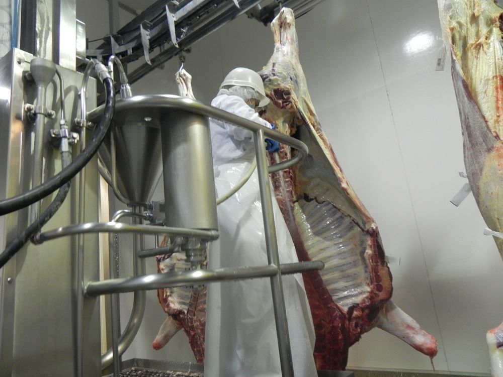 Carnes: Uruguay exportó más y a un valor superior.