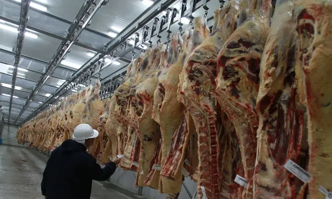 Las carnes de vacuno explican casi el 80% de los ingresos.