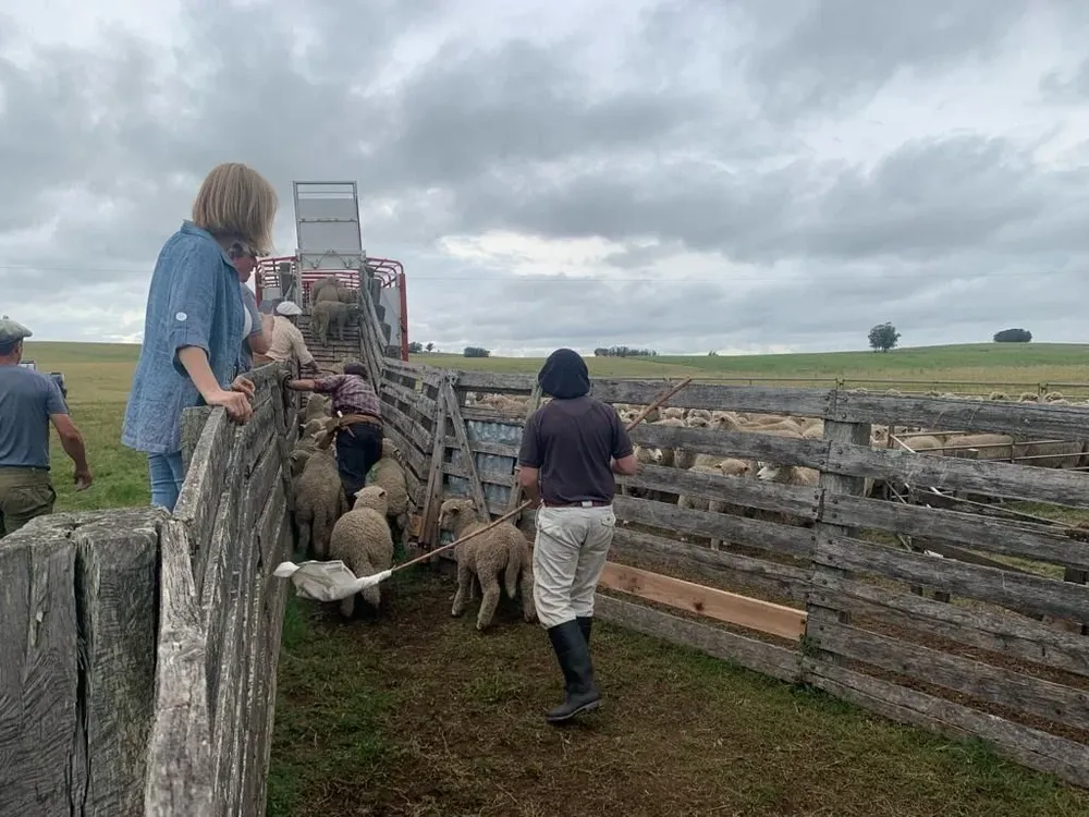 Actividad en un predio de Lavalleja.