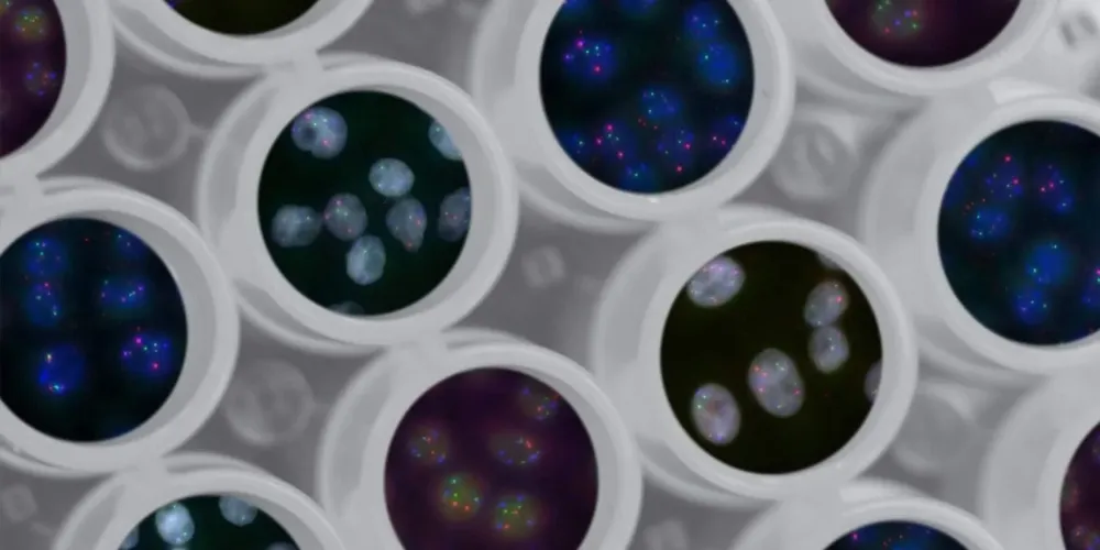 La tecnología conocida como CRISPR permite corregir directamente enfermedades subyacentes en el genoma