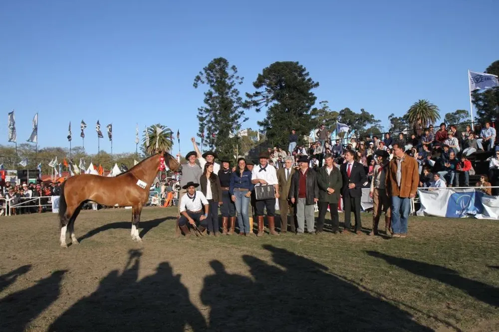 El mejor ejemplar de la raza Criollos, Gran Campeón, coronado por Reilly y Aguerre en la Rural.