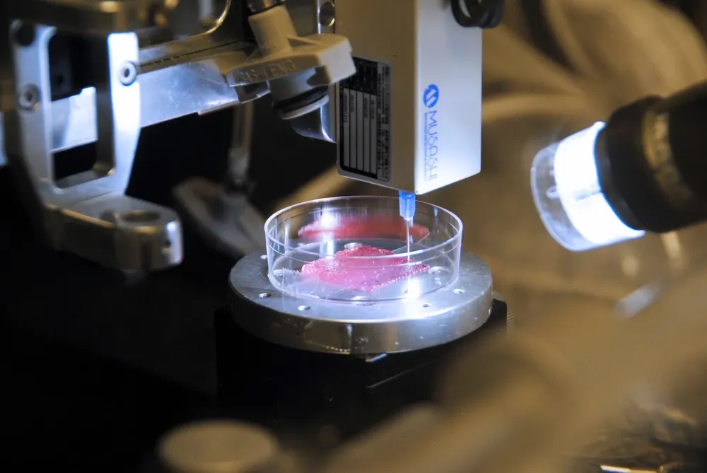 Una bioimpresora tridimensional que extruye un bioenlace con células humanas suspendidas para crear una estructura tisular de tres capas.