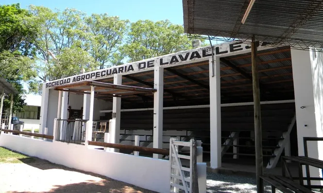 El remate se realizó en el local de la Agropecuaria de Lavalleja