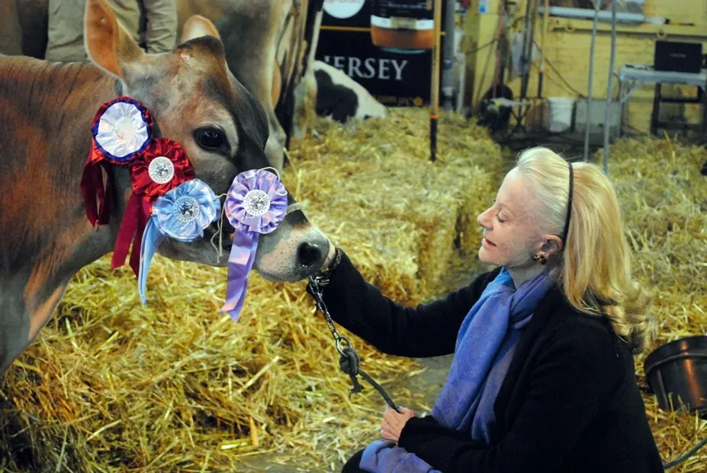 La Gran Campeona Jersey y la cabañera dArenberg