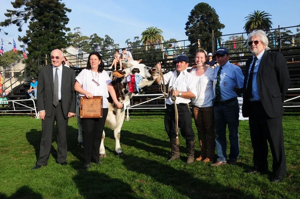 Tras un parto difícil la vaca se recuperó y logró un doblete