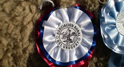 El Observador | 0011781713.webp