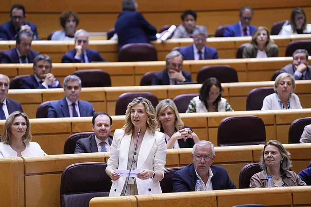 Alicia García, portavoz del PP en el Senado, durante un pleno
