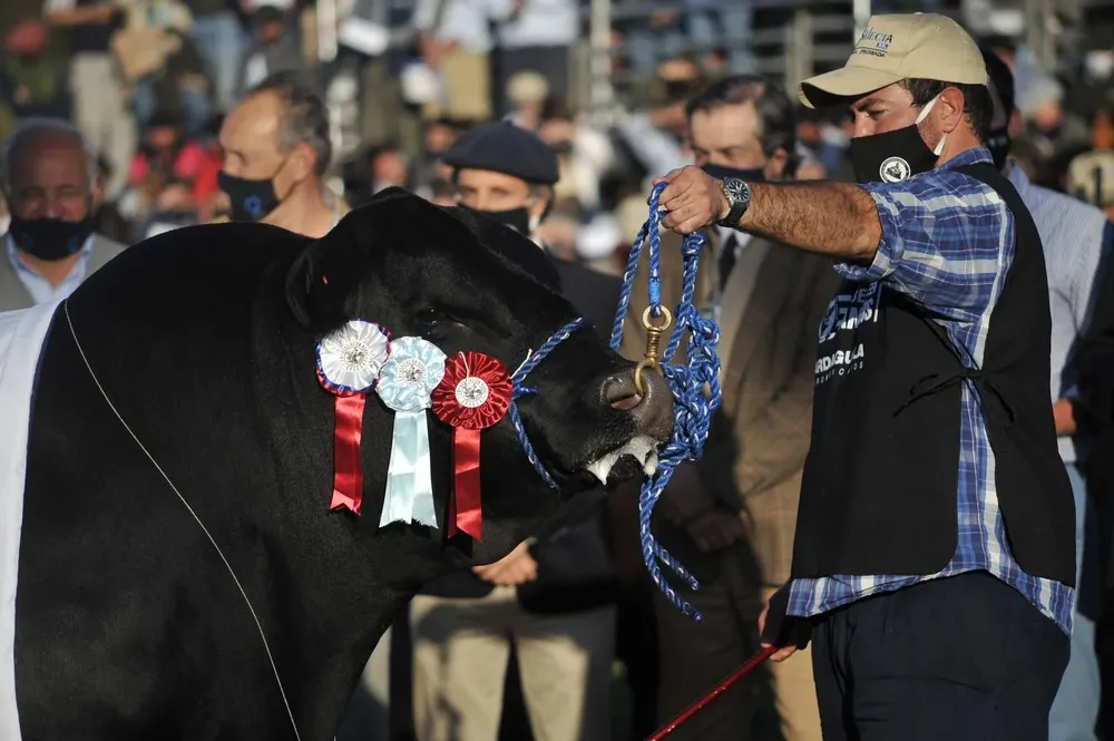 La exposición se hará nuevamente con estrictos protocolos sanitarios.