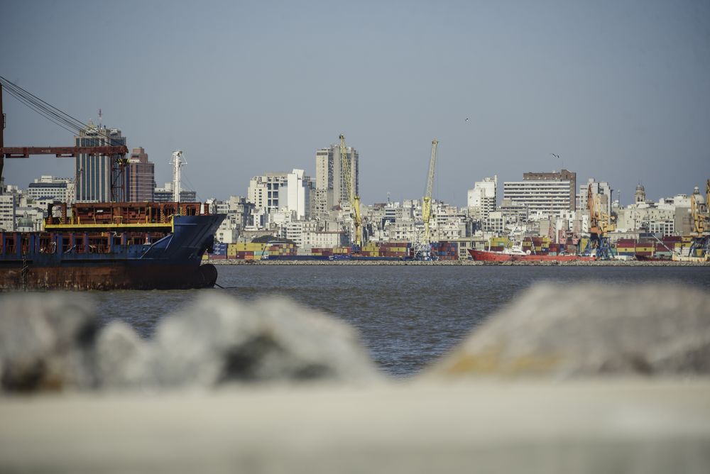 Exportaciones. Puerto de Montevideo