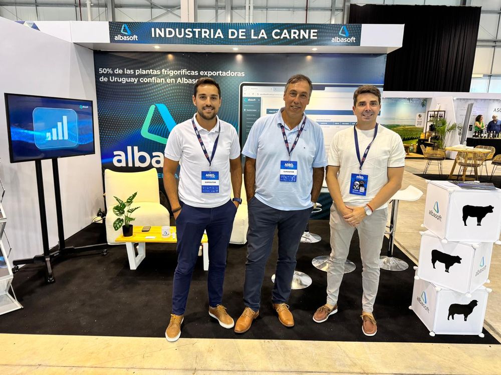 foto equipo albasoft