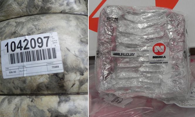 Exportaciones de carne ovina y productos laneros con ingresos al alza durante 2026.