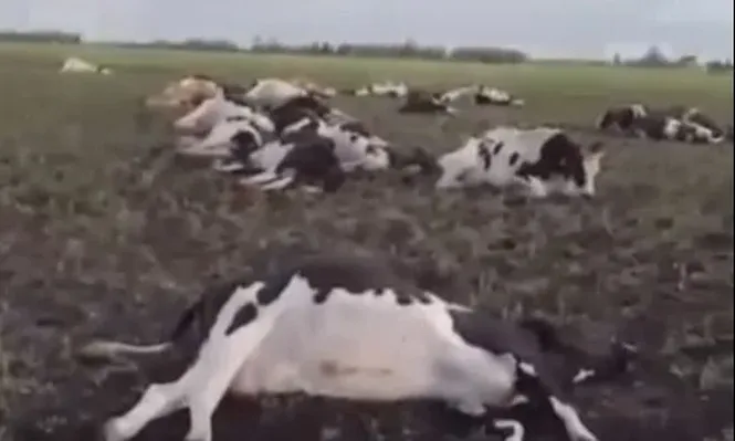 Captura del video.