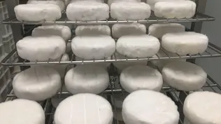 Quesos, uno de los productos lácteos de exportación.