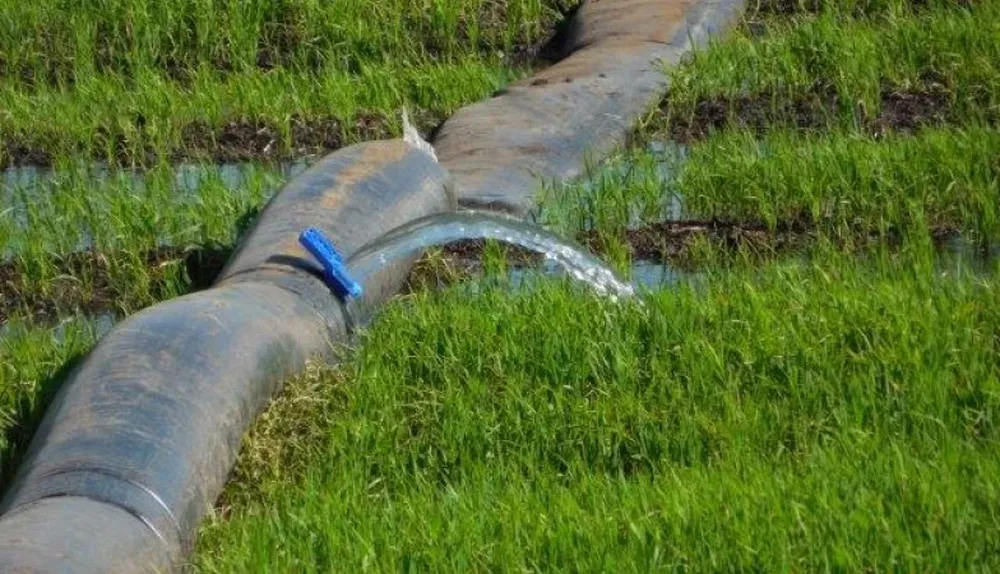 La inversión es de unos US$ 70 por hectárea entre mangas y compuertas