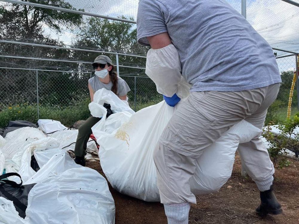 https://www.bbc.com/mundo/articles/clmm9p3pv4vo
