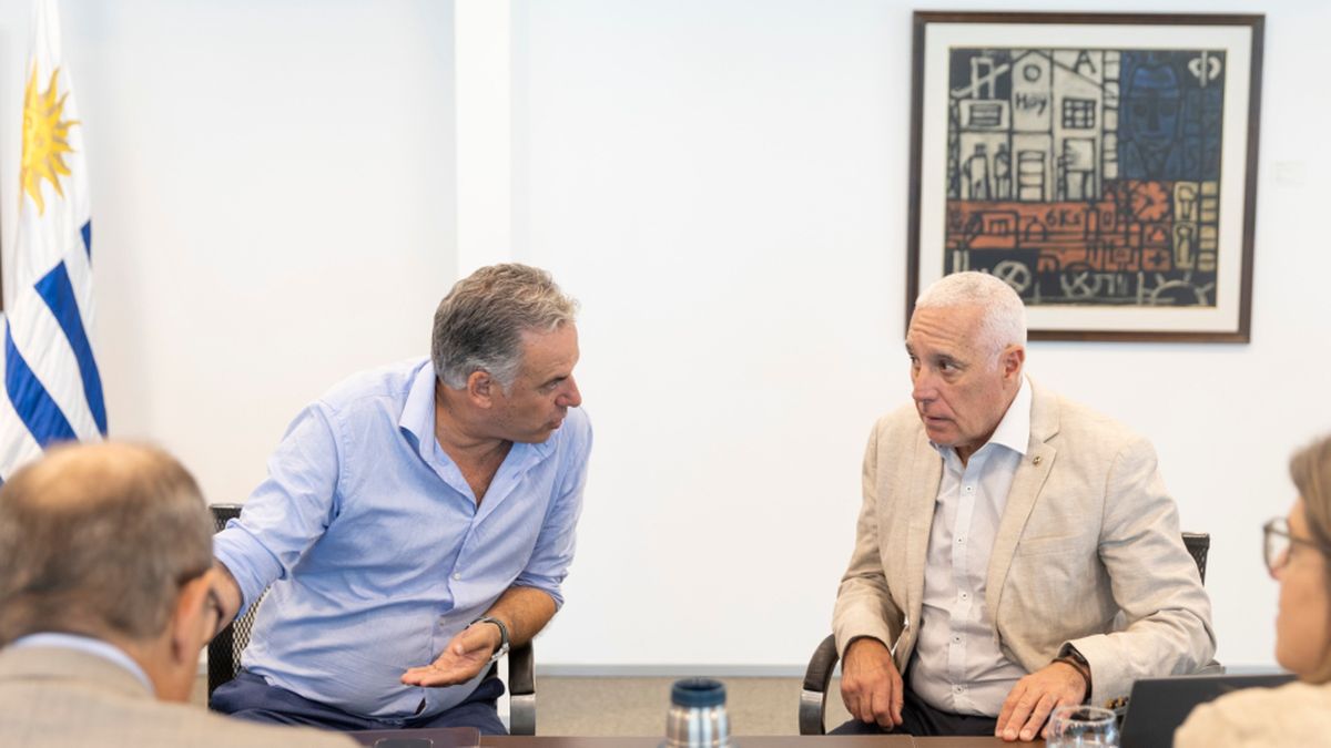 Lo que mata es la humedad: una política de seguridad huérfana de eficiencia