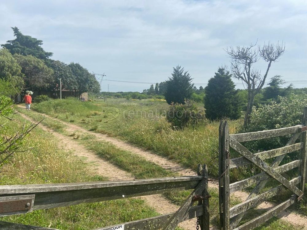 Iocco remata chacra en Rincón de Melilla.&nbsp;