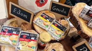 Quesos de Grupo Gloria.