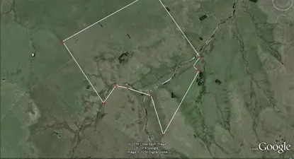 El Observador | 0000138687.webp