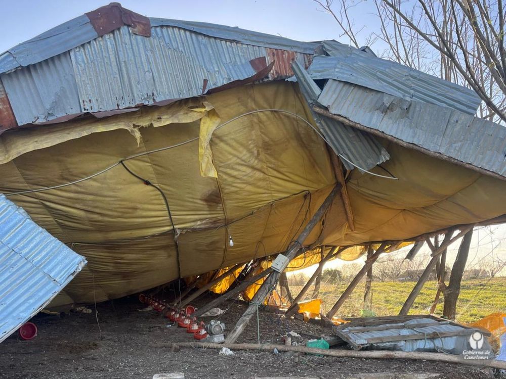 Canelones: graves daños en un galpón de engorde de pollos parrilleros.