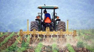 Granja: aplicación de productos para protección de los cultivos.