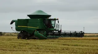 La Expoactiva Nacional 2017 se realizó en el kilómetro 255 de la ruta 2, en el departamento de Soriano