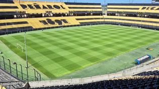 El estado del césped del Estadio Campeón del Siglo luce impecable