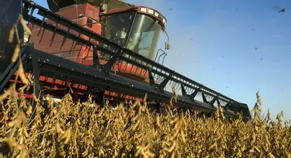 Se espera nueva baja de precios de los commodities relevantes