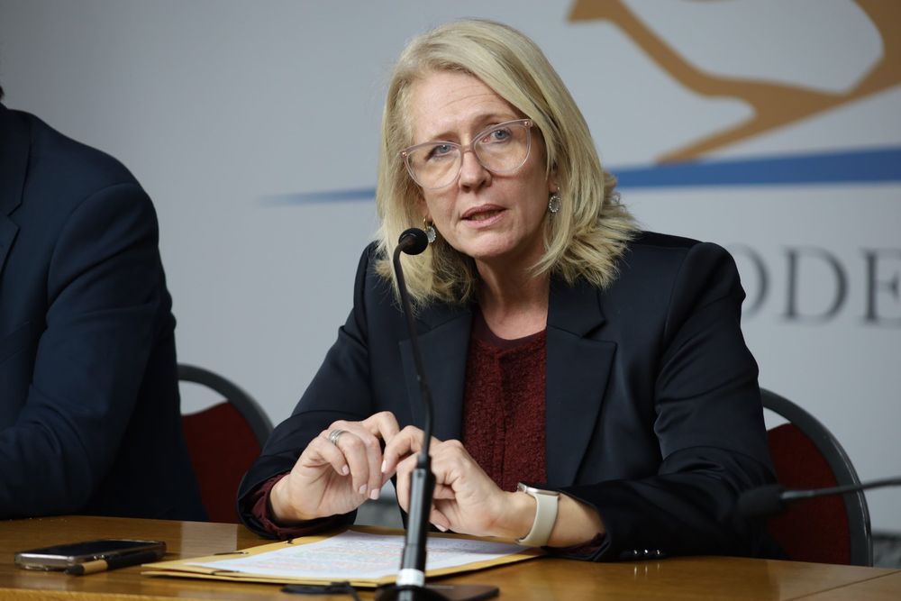 Diputada blanca por comparecencia del ministro del Mides al Parlamento