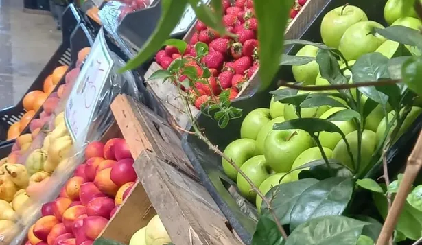 Se conoció una nueva Lista Inteligente.