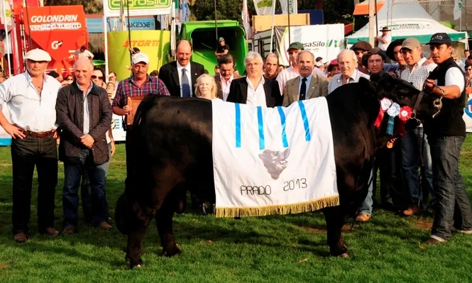 El Gran Campeón Aberdeen Angus de Las Rosas en momentos de ser coronado con la presencia del ministro Tabaré Aguerre