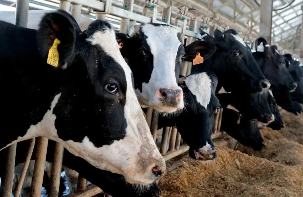 Participación del productor mejoró 3 puntos en el precio promedio que reciben de la industria