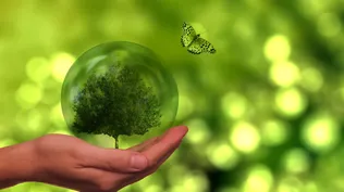 La descarbonización del planeta pasa por un apoyo más decidido al mundo en vías de desarrollo