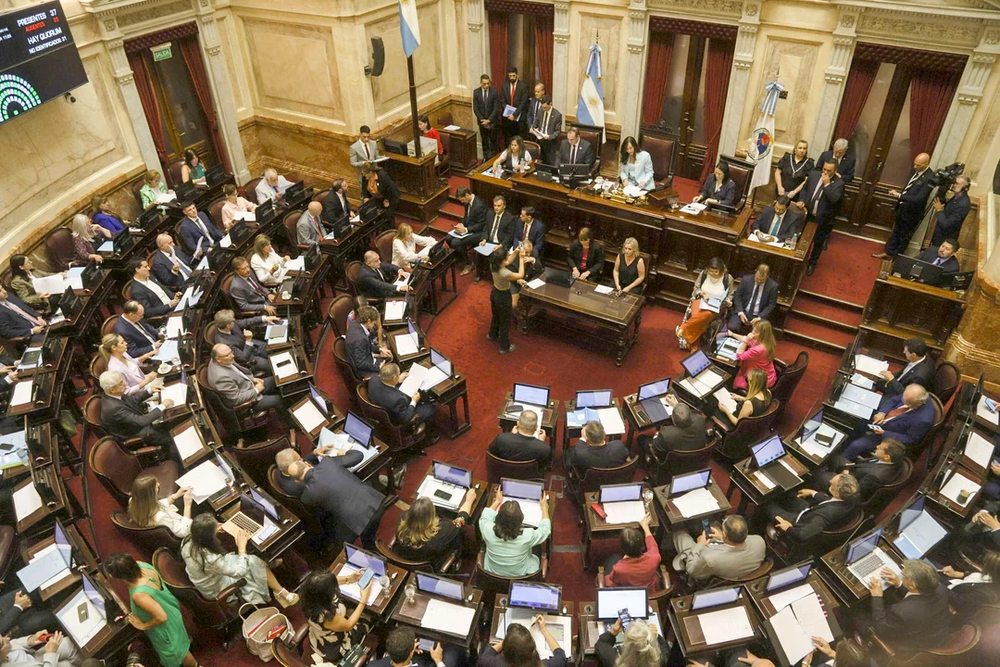 El Senado derribó los vetos a las leyes de emergencia pediátrica y universidades.