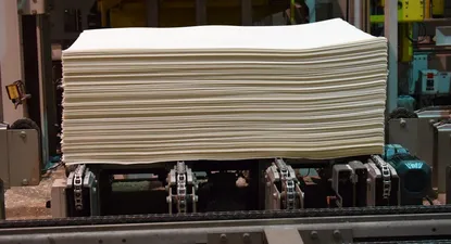 Celulosa para exportación