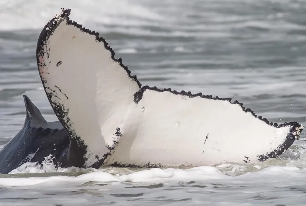 Deslizá hacia la izquierda para ver más fotos