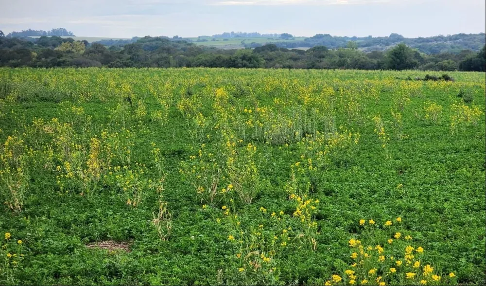 MGAP instó a tener máximos cuidados.