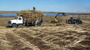 El encargado de llevar adelante la negociación de aquí en más será ALUR.
