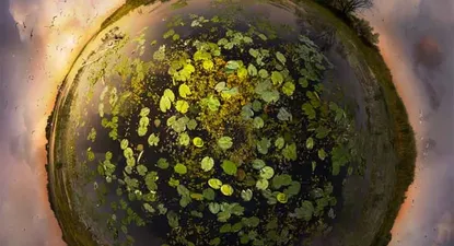 El Observador | 0000352031.webp