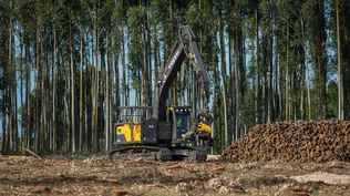 Uruforest 2026: el mundo forestal pone la mira en una cumbre de uno de los principales sectores productivos y exportadores de la economía en Uruguay.