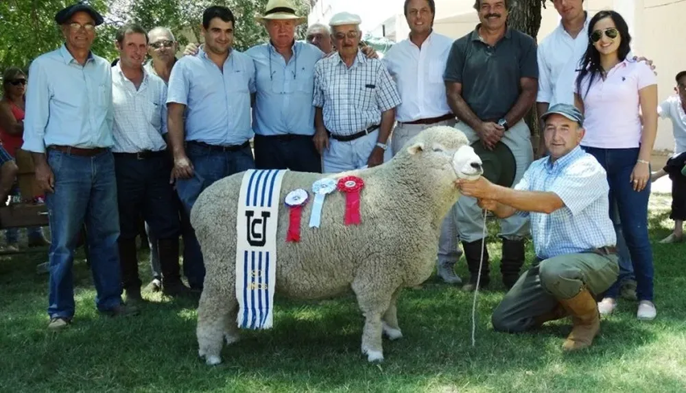 Premiación del Gran Campeón Corriedale PI de Doña Elisa