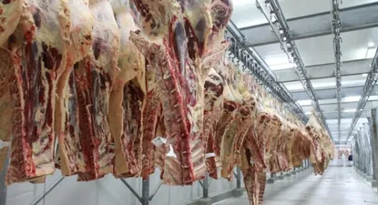 La reapertira de China a las carnes brasileñas, representan el ingreso de un competidor de Uruguay a ese mercado