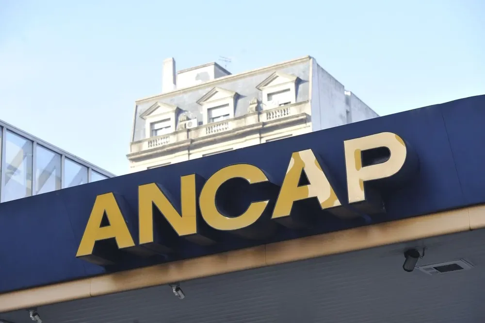 Podrían convivir estaciones tradicionales, automáticas y otras con pisteros de día pero sin personal de noche