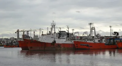 Conflicto entre cámaras y sindicato de la pesca