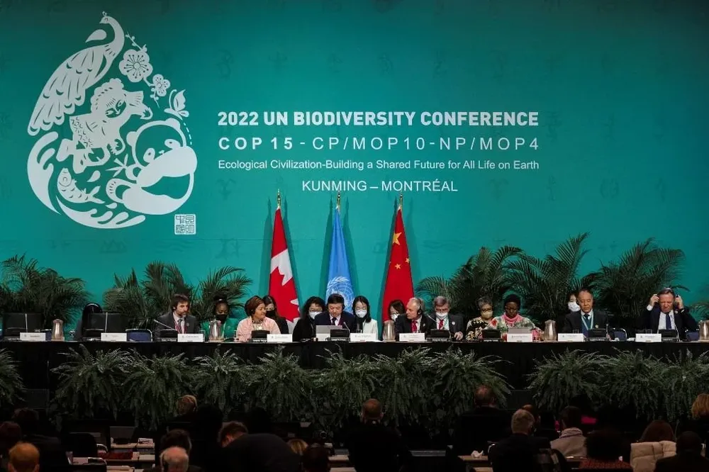 La movilización de recursos, como la denominan los participantes de la 15º Conferencia de Naciones Unidas sobre Biodiversidad (COP15), atraviesa todas las negociaciones que buscan delinear un acuerdo lo suficientemente ambicioso como para detener la destrucción de los recursos naturales y las especies silvestre.