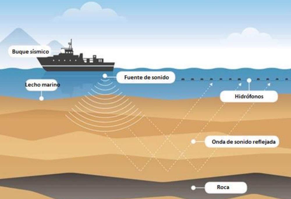 WhatsApp Image 2024-12-31 at 12.00.33.jpeg