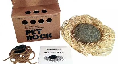 The Pet Rock, una roca para mascota de los niños