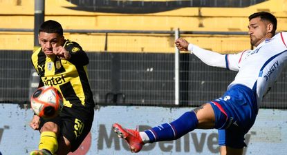 Diego García y Emiliano Ancheta