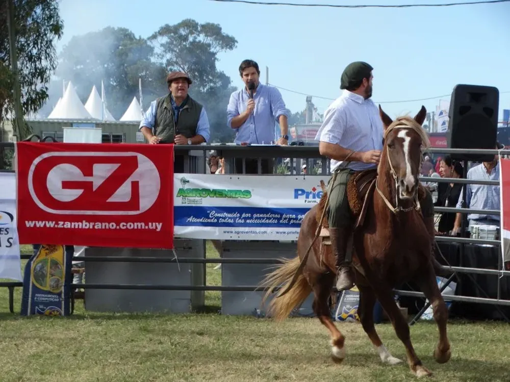 Martín Sarries y Alejandro Zambrano durante el remate de los Criollos de Dos Querencias