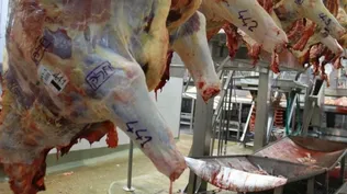 La medida puede favorecer a Uruguay en el corto plazo.